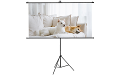 Schermo del proiettore