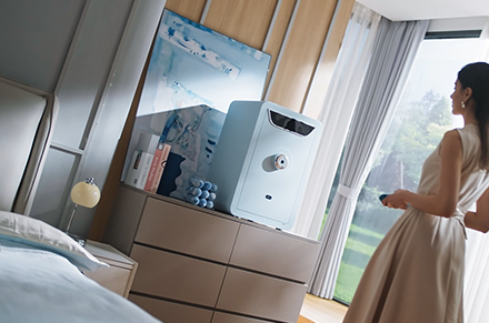 Cassetta di sicurezza Deli