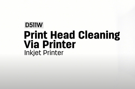 Pulizia della testina di stampa tramite stampante