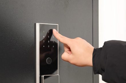 Deli ET595 ET596 serie ET597 Premium Fingerprint & cassaforte digitale