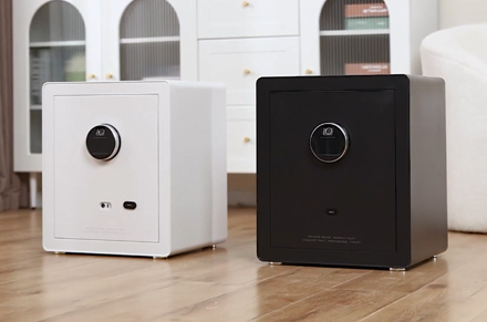 Deli ET630-ET635 cassetta di sicurezza per uso domestico